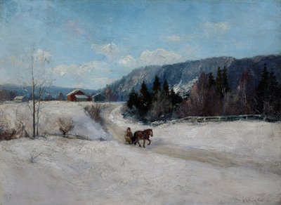 Talvimaisema Skaugumin kukkulalla tekijältä Andreas Singdahlsen