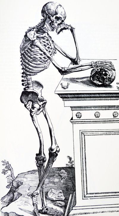 Ihmisen luuranko kallo kädessään. Vesaliuksen "De Humani Corporis Fabricasta". Mahdollinen puunleikkuri: Jan von Calcar tekijältä Andreas Vesalius
