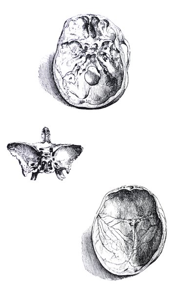 De Humani Corporis Fabrica -teoksen ensimmäisen kirjan laatat tekijältä Andreas Vesalius