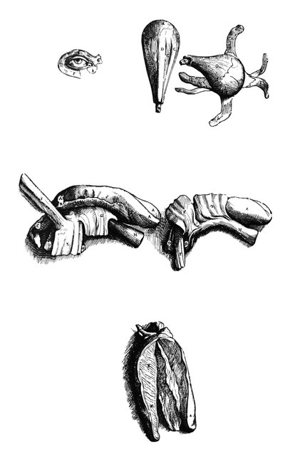 Levyt De Humani Corporis Fabrican toisesta kirjasta tekijältä Andreas Vesalius
