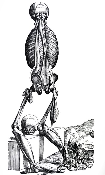 Levyt De Humani Corporis Fabrican toisesta kirjasta tekijältä Andreas Vesalius