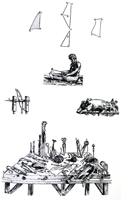 Levyt De Humani Corporis Fabrican toisesta kirjasta tekijältä Andreas Vesalius