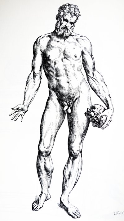 Lautaset De Humani Corporis Fabrican seitsemännestä kirjasta tekijältä Andreas Vesalius