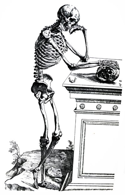 De Humani Corporis Fabrica -teoksen seitsemännen kirjan laatat. tekijältä Andreas Vesalius