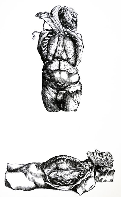 De Humani Corporis Fabrican kuudennen kirjan lautaset tekijältä Andreas Vesalius