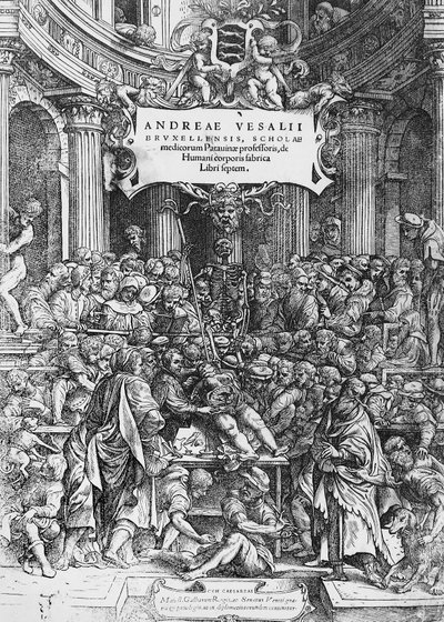 De humani corporis fabrican (latinaksi ihmiskehon kudoksesta) nimisivu, jossa Andreas Vesalius on kuvattu leikkaamassa ruumista tekijältä Andreas Vesalius