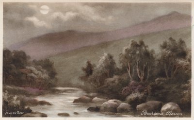 Dartmoor: Buckland Beacon (värikuva) tekijältä Andrew Beer