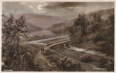 Dartmoor: Dartmeet (värikuva) tekijältä Andrew Beer