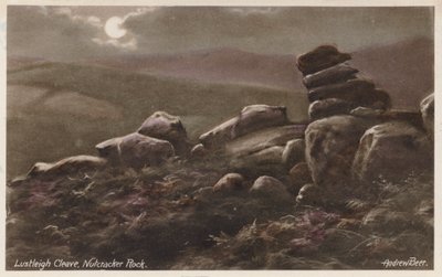 Dartmoor: Lustleigh Cleave, Nutcracker Rock (värikuva). tekijältä Andrew Beer