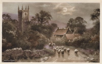 Dartmoor: Widdicombe-in-the Moor (värikuva): Widdicombe-in-the Moor (värikuva) tekijältä Andrew Beer