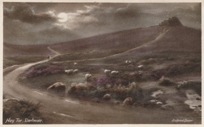 Hay Tor, Dartmoor (värikuva) tekijältä Andrew Beer