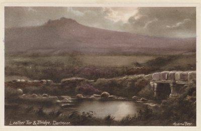 Leather Tor ja silta, Dartmoor (värikuva) tekijältä Andrew Beer