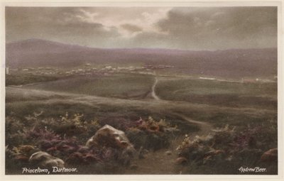 Princetown, Dartmoor (värikuva) tekijältä Andrew Beer