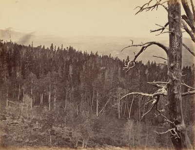 Lautanen 13. Lumi- ja puutavaralinja, Laramie Mountains,1869 (kuva). tekijältä Andrew Joseph Russell