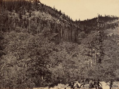 Lautanen 19. Puutavaran seassa Little Laramie -joen yläosassa, 1869 (kuva). tekijältä Andrew Joseph Russell