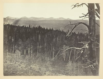 Lumi- ja puutavaralinja, Medicine Bow Mountain tekijältä Andrew Joseph Russell