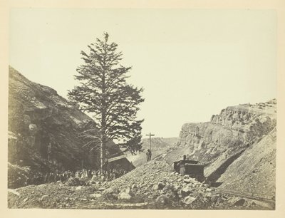Thousand Mile Tree, Wilhelminan sola tekijältä Andrew Joseph Russell