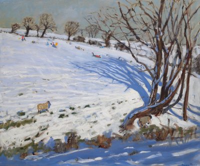  tekijältä Andrew Macara