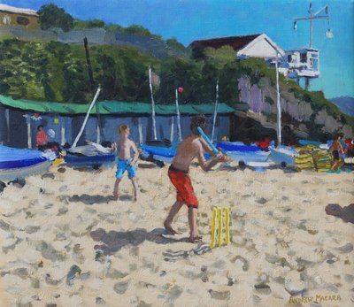 Kriketti ja keltaiset kannot, Abersoch tekijältä Andrew Macara