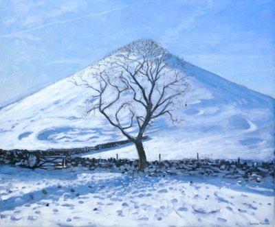 Hill and Tree, Derbyshire, 2008 tekijältä Andrew Macara
