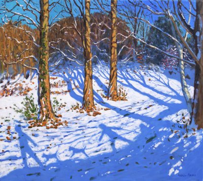 Marraskuun lumi, Allestree Park,Derby, 2017, tekijältä Andrew Macara
