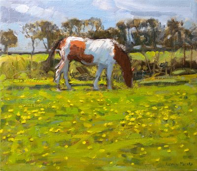 Piebald Horse, 2010 (öljy kankaalle) tekijältä Andrew Macara