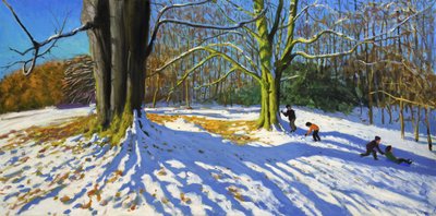 Top of Allestree Park, 2014 (öljy kankaalle) tekijältä Andrew Macara