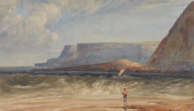 Antrimin rannikko tekijältä Andrew Nicholl