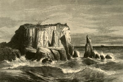 Coast Scene, Marin County, 1872. tekijältä Andrew Varick Stout Anthony
