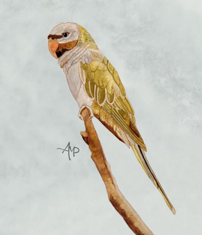  tekijältä Angeles M. Pomata