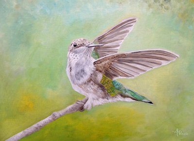 Istuvan kolibrin siivet tekijältä Angeles M. Pomata