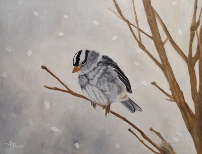 Hiljainen talvipääsky tekijältä Angeles M. Pomata
