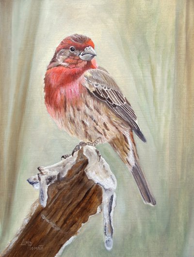 Punapeippo lumisella oksalla tekijältä Angeles M. Pomata