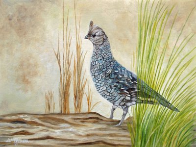 Pyrstötiainen tukilla tekijältä Angeles M. Pomata