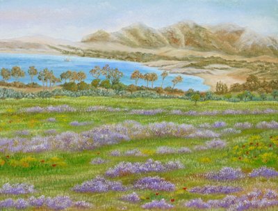 Spring Meadow Bay tekijältä Angeles M. Pomata