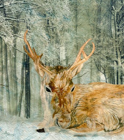Talvimetsän hirvi tekijältä Angeles M. Pomata