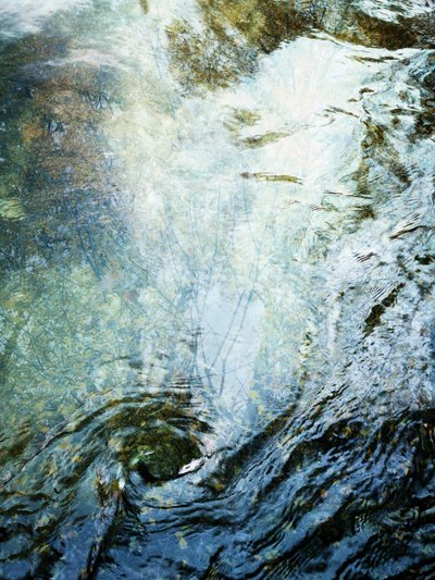 Nestemäinen metsä (1) tekijältä Angelo Cerantola