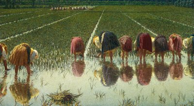 Kahdeksankymmentä penniä, Angelo Morbelli (1853-1919), Öljy kankaalle, 67,5x124,5 cm tekijältä Angelo Morbelli