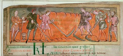 Cott Tib B V f.6v Sadonkorjuu, kalenterista, n.1030 (vellum) (41681:n yksityiskohta) tekijältä Anglo Saxon