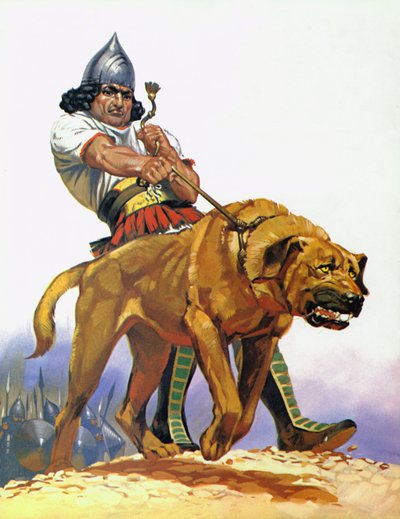 Assyrian taistelukoira (värilitro) tekijältä Angus McBride