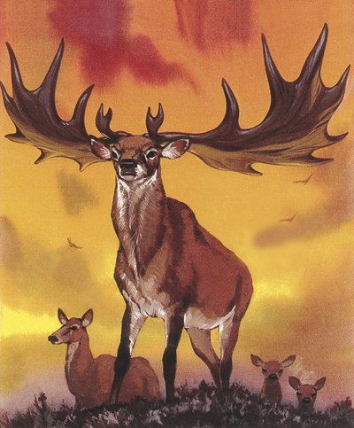 Giant kukin tekijältä Angus McBride