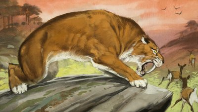 Sapelihammastiikeri metsästämässä tekijältä Angus McBride