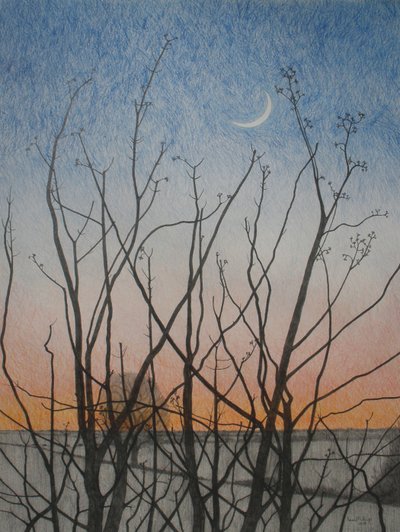 Ikkunastani, 2011 (värikynä paperille) tekijältä Anna Phillips