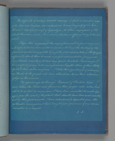 Widmungsseite 2 tekijältä Anna Atkins