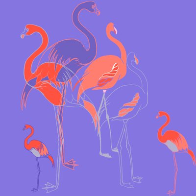 Flamingot tekijältä Anna Platts