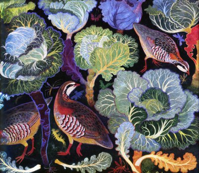 Kyyhkynen kaalimaalla - Partridge in a cabbage patch tekijältä Anna Pugh