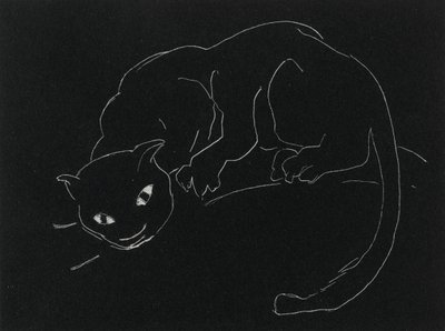 Yösarja: Kissa (litho, valkoinen viiva kudottupaperilla) tekijältä Anne Goldthwaite