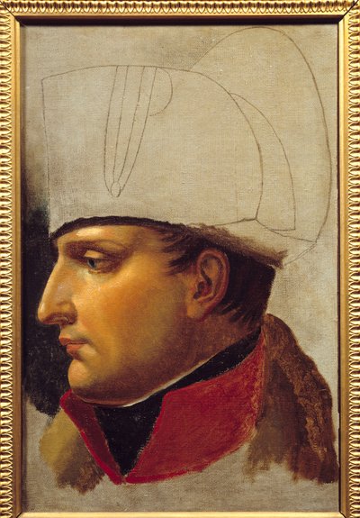 Napoleon I:n (1769-1821) muotokuva -tutkimus Wienin kaupungin avainten luovuttamista varten 13. marraskuuta tekijältä Anne Louis Girodet de Roucy Trioson