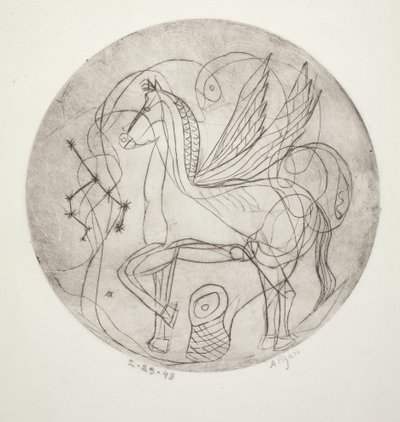Pegasus tekijältä Anne Ryan
