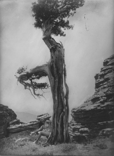 Nimetön (Alastoma setripuun juurella) tekijältä Anne W. Brigman